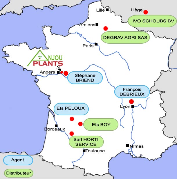 Le réseau de distributeurs et d'agents d'Anjou Plants - situés dans les régions de production de fraises - sur toute la france