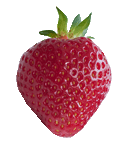 fraise Rubis des jardins